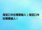 淘宝口令在哪里输入（淘宝口令在哪里输入）