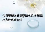 今日更新冬笋需要焯水吗,冬笋焯水为什么会变红