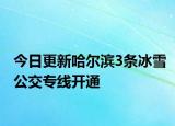 今日更新哈尔滨3条冰雪公交专线开通