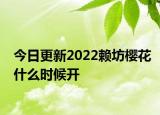 今日更新2022赖坊樱花什么时候开