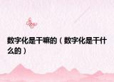 数字化是干嘛的（数字化是干什么的）