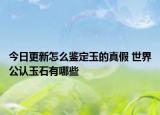 今日更新怎么鉴定玉的真假 世界公认玉石有哪些