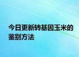 今日更新转基因玉米的鉴别方法