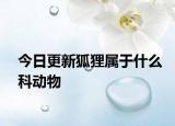 今日更新狐狸属于什么科动物
