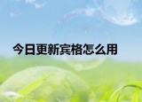 今日更新宾格怎么用