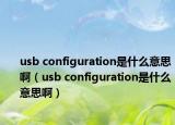 usb configuration是什么意思啊（usb configuration是什么意思啊）