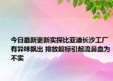 今日最新更新实探比亚迪长沙工厂有异味飘出 排放超标引起流鼻血为不实