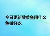 今日更新酸菜鱼用什么鱼做好吃