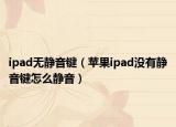 ipad无静音键（苹果ipad没有静音键怎么静音）