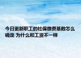 今日更新职工的社保缴费基数怎么确定 为什么和工资不一样