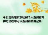 今日更新哈尔滨社保个人查询有几种方法在哪可以查询到缴费记录