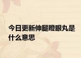 今日更新伸腿瞪眼丸是什么意思