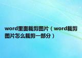 word里面裁剪图片（word裁剪图片怎么裁剪一部分）