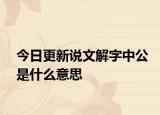 今日更新说文解字中公是什么意思