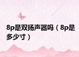 8p是双扬声器吗（8p是多少寸）