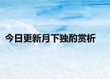 今日更新月下独酌赏析