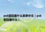 psk密码是什么意思中文（psk密码是什么）