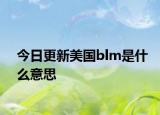 今日更新美国blm是什么意思