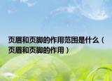 页眉和页脚的作用范围是什么（页眉和页脚的作用）