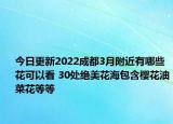 今日更新2022成都3月附近有哪些花可以看 30处绝美花海包含樱花油菜花等等