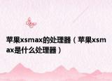 苹果xsmax的处理器（苹果xsmax是什么处理器）