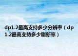 dp1.2最高支持多少分辨率（dp1.2最高支持多少刷新率）