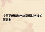 今日更新精神出轨离婚财产该如何分割