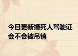 今日更新撞死人驾驶证会不会被吊销
