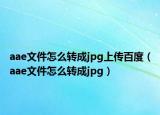 aae文件怎么转成jpg上传百度（aae文件怎么转成jpg）