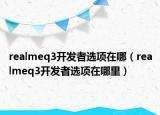 realmeq3开发者选项在哪（realmeq3开发者选项在哪里）