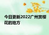 今日更新2022广州赏樱花的地方