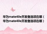 华为mate40e开发者选项在哪（华为mate40e开发者选项在哪）