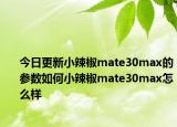 今日更新小辣椒mate30max的参数如何小辣椒mate30max怎么样