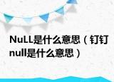 NuLL是什么意思（钉钉null是什么意思）