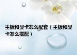 主板和显卡怎么配套（主板和显卡怎么搭配）