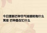 今日更新芒种节气嫁接树有什么寓意 芒种是在忙什么