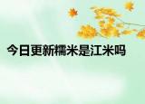 今日更新糯米是江米吗
