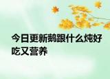 今日更新鹅跟什么炖好吃又营养