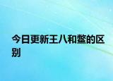 今日更新王八和鳖的区别