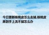 今日更新核桃皮怎么去掉,核桃皮弄到手上洗不掉怎么办