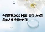 今日更新2022上海共青森林公园虞美人观赏最佳时间