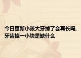 今日更新小孩大牙掉了会再长吗,牙齿掉一小块是缺什么