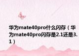 华为mate40pro什么闪存（华为mate40pro闪存是2.1还是3.1）