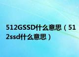 512GSSD什么意思（512ssd什么意思）