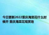今日更新2022重庆海棠花什么时候开 重庆海棠花观赏地
