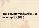 bios setup是什么意思中文（bios setup什么意思）