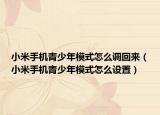 小米手机青少年模式怎么调回来（小米手机青少年模式怎么设置）