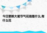 今日更新大暑节气花信是什么,有什么花