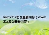 vivox21s怎么查看内存（vivox21s怎么查看内存）