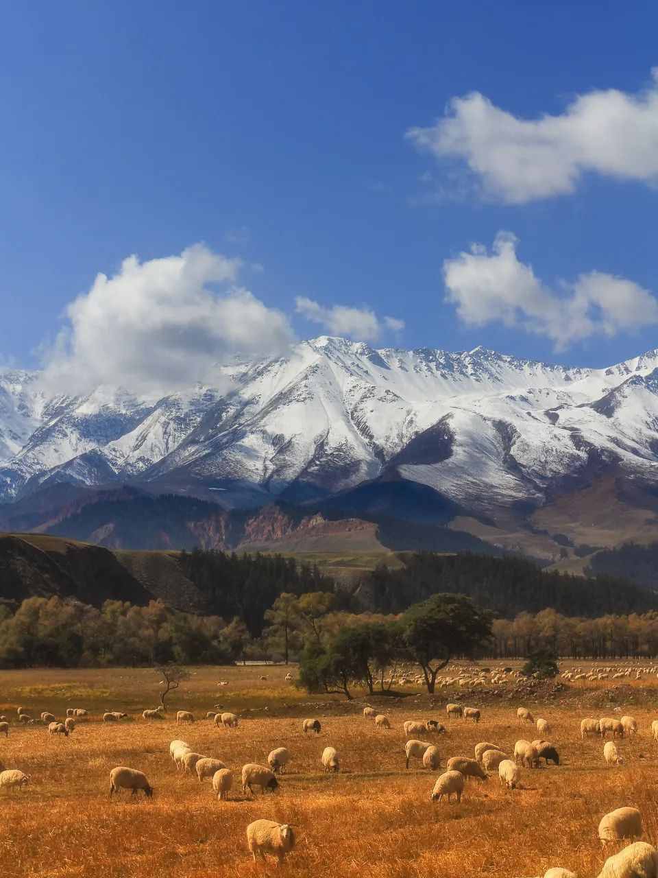 9月国内最值得去的九个旅行地，每一个都藏着绝美的风景